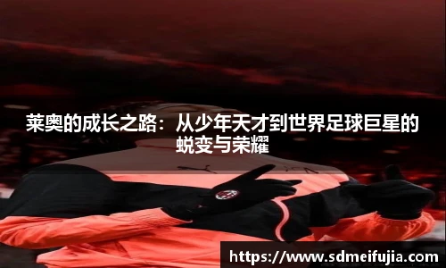 金年会官网