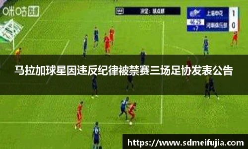 马拉加球星因违反纪律被禁赛三场足协发表公告